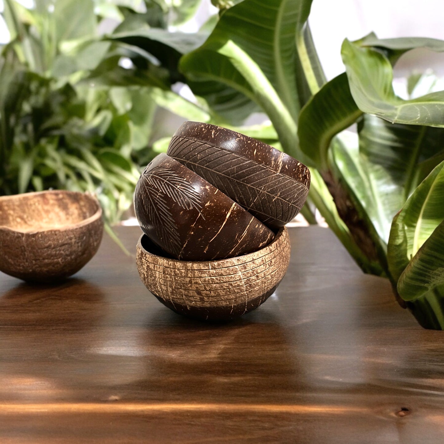 Palm Coconut Shell Bowl | 100% Natural