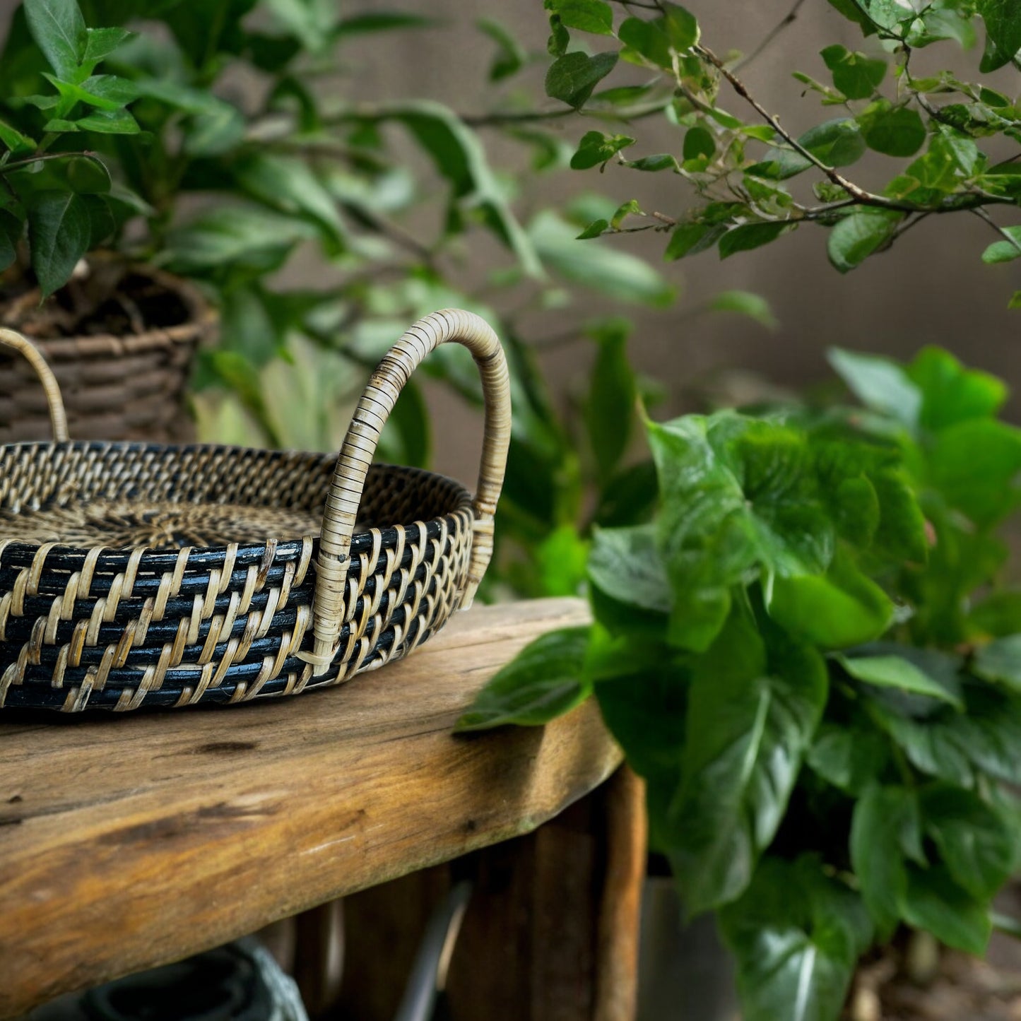 Handwoven Rattan Cane Tray